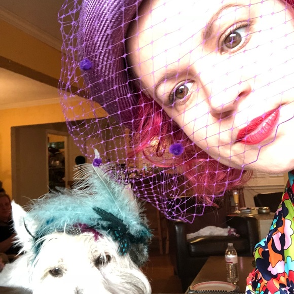 Meet your Posher, Tara - Picture 3 of 4